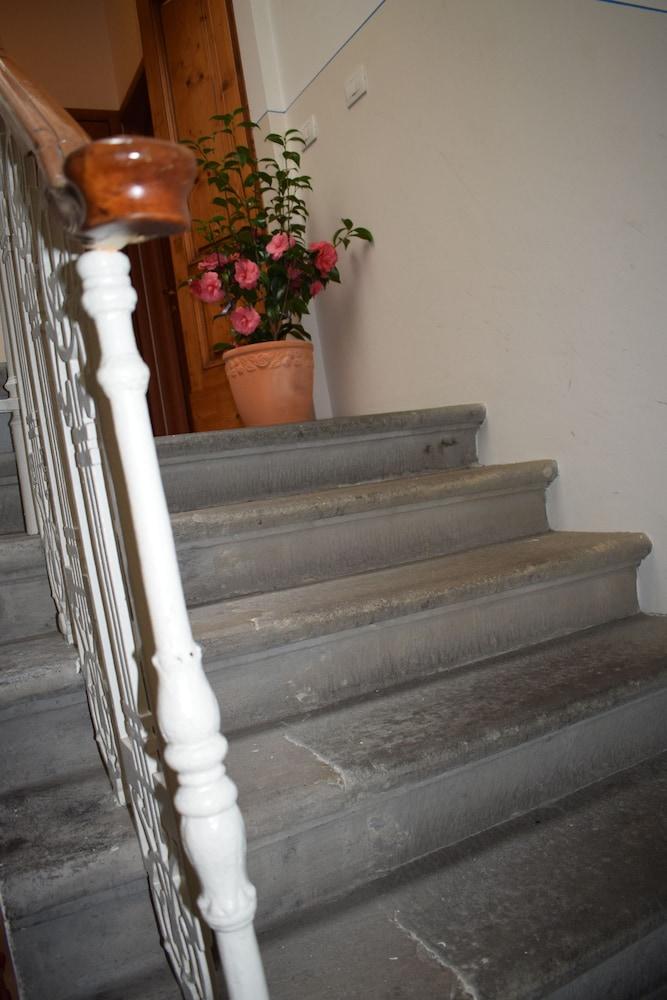 Hotel Dalmazia Floransa Dış mekan fotoğraf