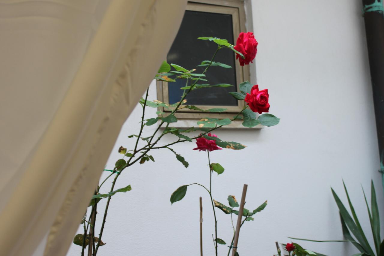 Hotel Dalmazia Floransa Dış mekan fotoğraf