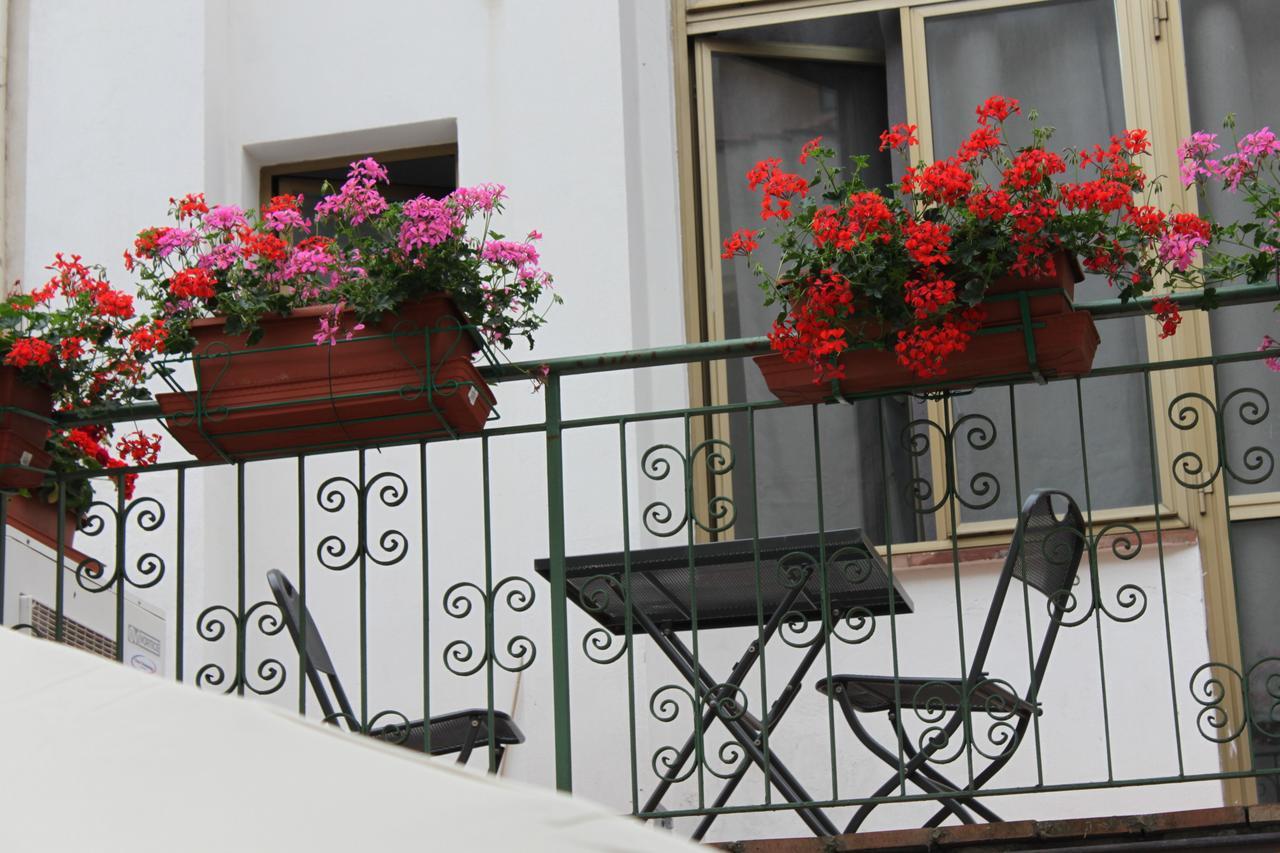 Hotel Dalmazia Floransa Dış mekan fotoğraf